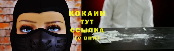 спиды Алзамай