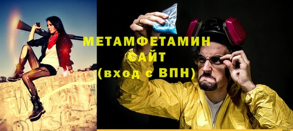 мет Алексин