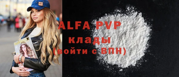 мет Алексин