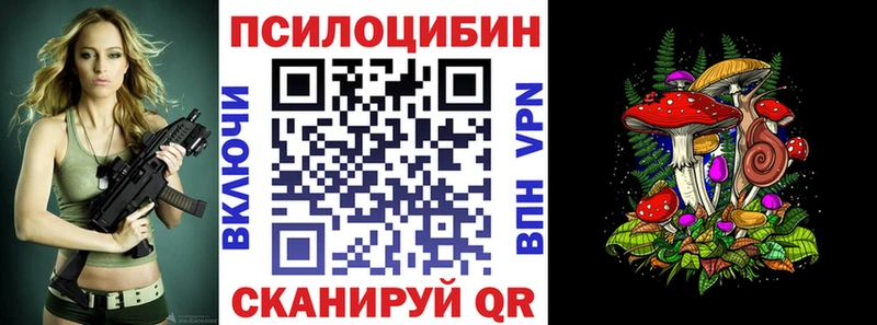 KRAKEN ТОР Приозерск Псилоцибиновые грибы ЛСД